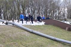 IMG 7057